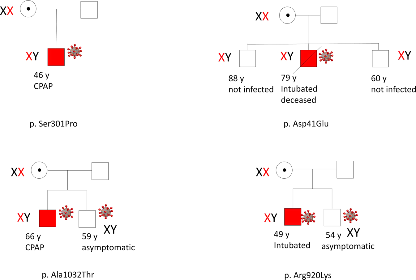 Fig. 5: Families affected by severe COVID-19 due to TLR7.