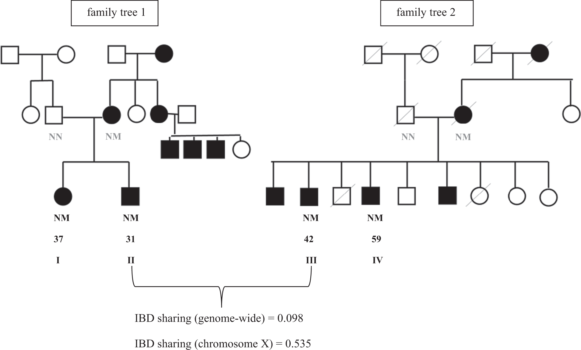 Whole-genome sequencing of multiple related individuals with type 2  diabetes reveals an atypical likely pathogenic mutation in the PAX6 gene