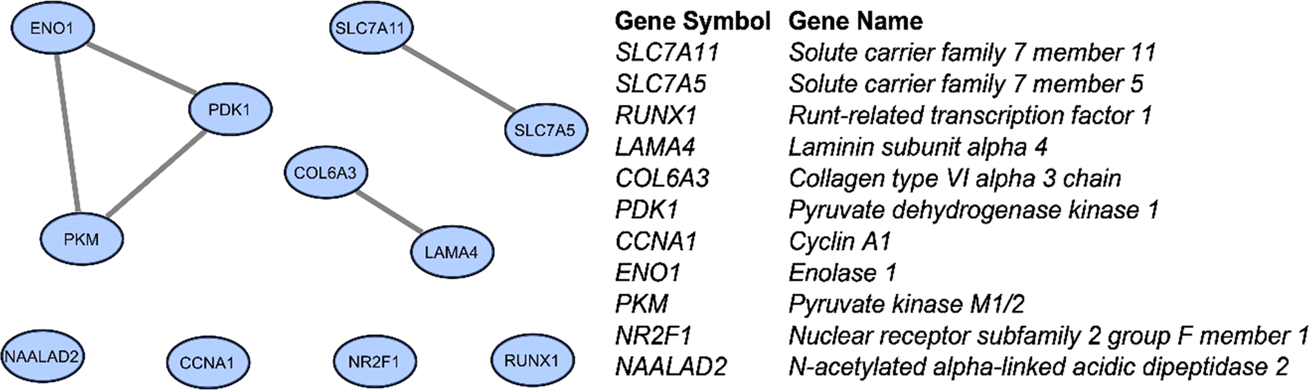 Abstracts from the 55th European Society of Human Genetics (ESHG) Conference e-Posters European Journal of Human Genetics