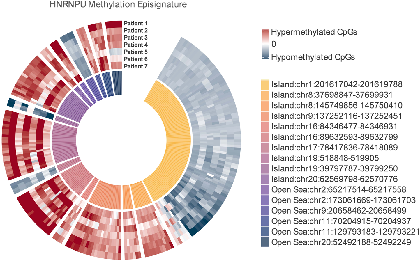Fig. 2: Genomic location and methylation pattern for significantly altered CpGs in HNRNPU group.