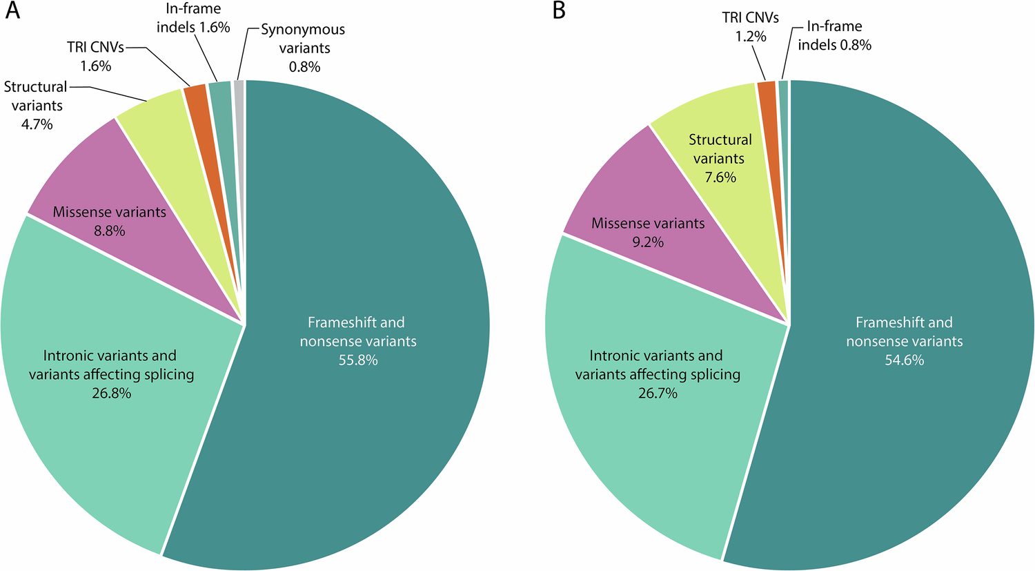 Fig. 1: Distribution of pathogenic variant types in NEB.