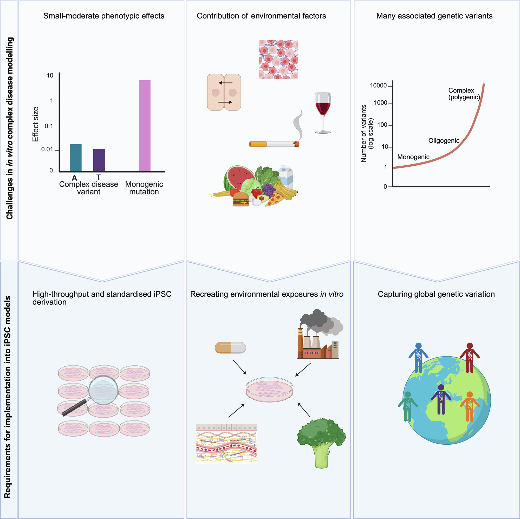 Fig. 2: Challenges in iPSC-based complex disease modelling.