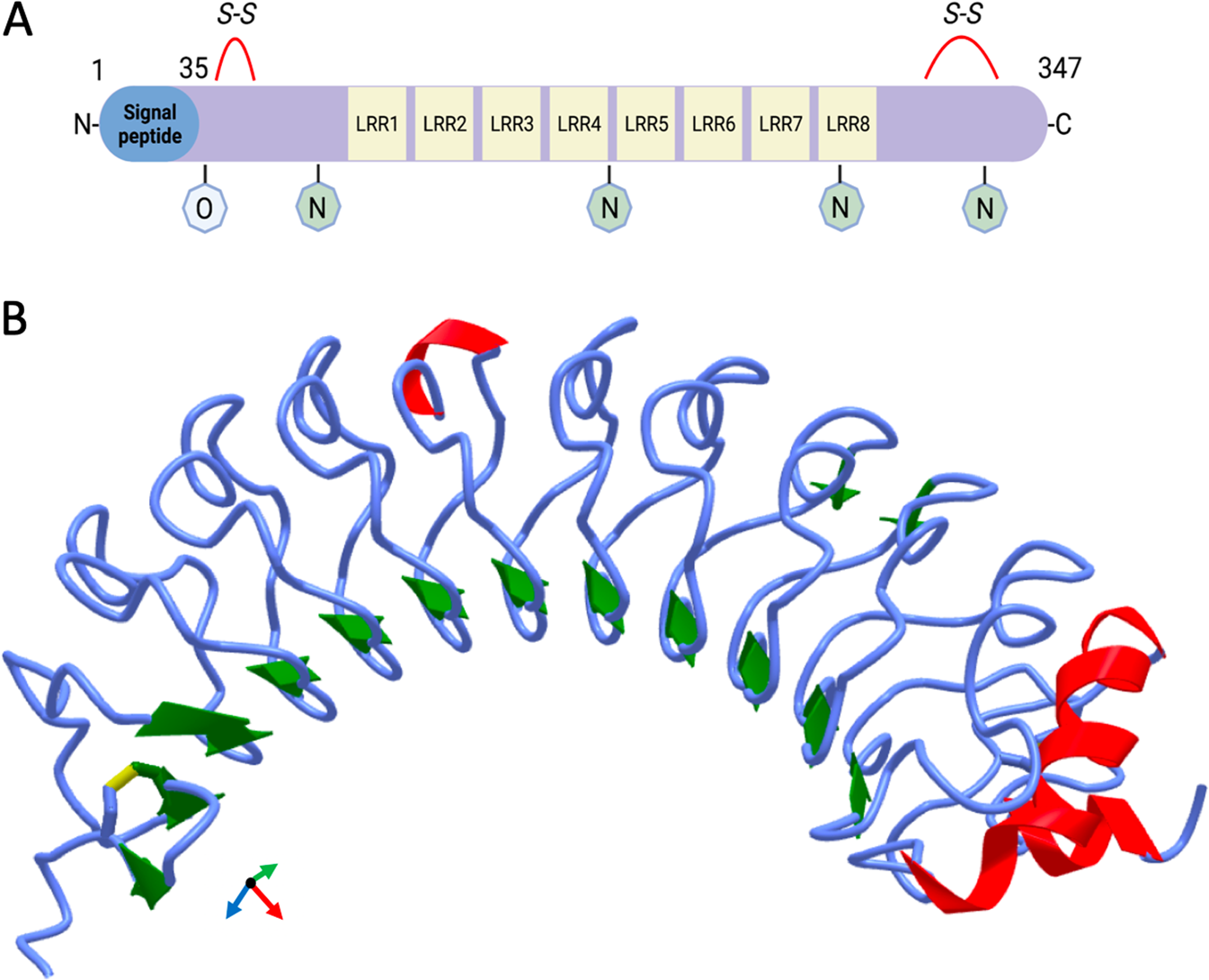 Lrg1 As A Novel Therapeutic Target In Eye Disease Eye