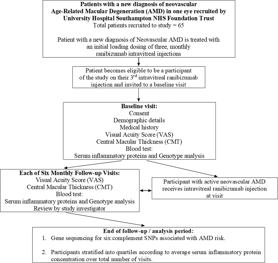 Fig. 1: A flowchart diagram summarising the investigation pathway of 65 study participants with a new diagnosis of neovascular age-related macular degeneration (AMD).