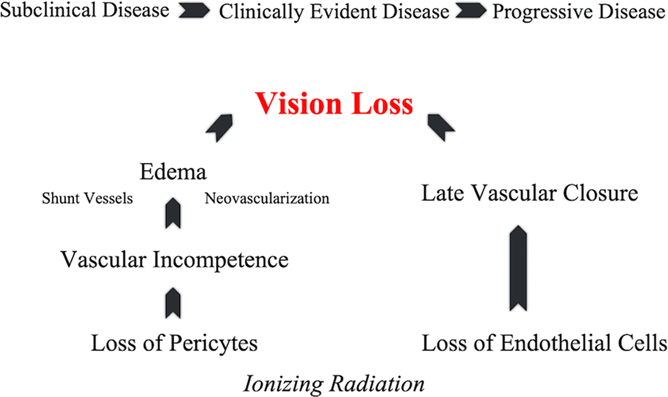 Early Anti Vegf Treatment For Radiation Maculopathy And Optic Neuropathy Lessons Learned Eye Early Anti Vegf Treatment For Radiation Maculopathy And Optic Neuropathy Lessons Learned Eye