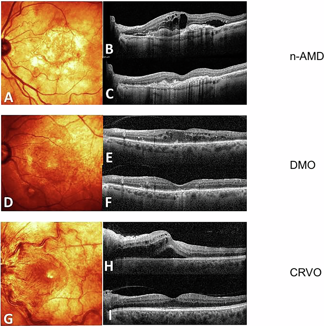 CP’s will show up ANYWHERE children are, including online gaming. From  games like roblox, minecraft, among us, COD, and fortnite to games as  innocent as drawing apps. Even if you outright ban all apps ..., image size:1350x1357