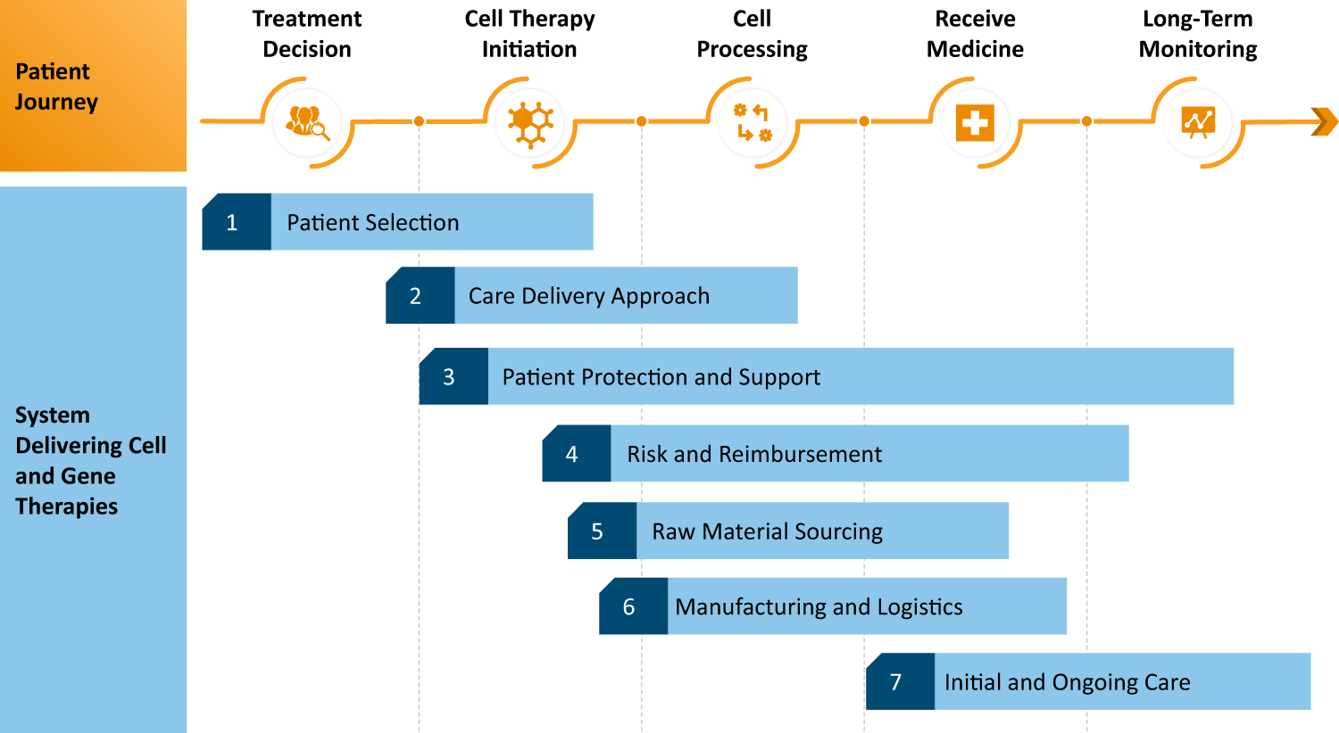 Gene Therapy Process Flow Chart