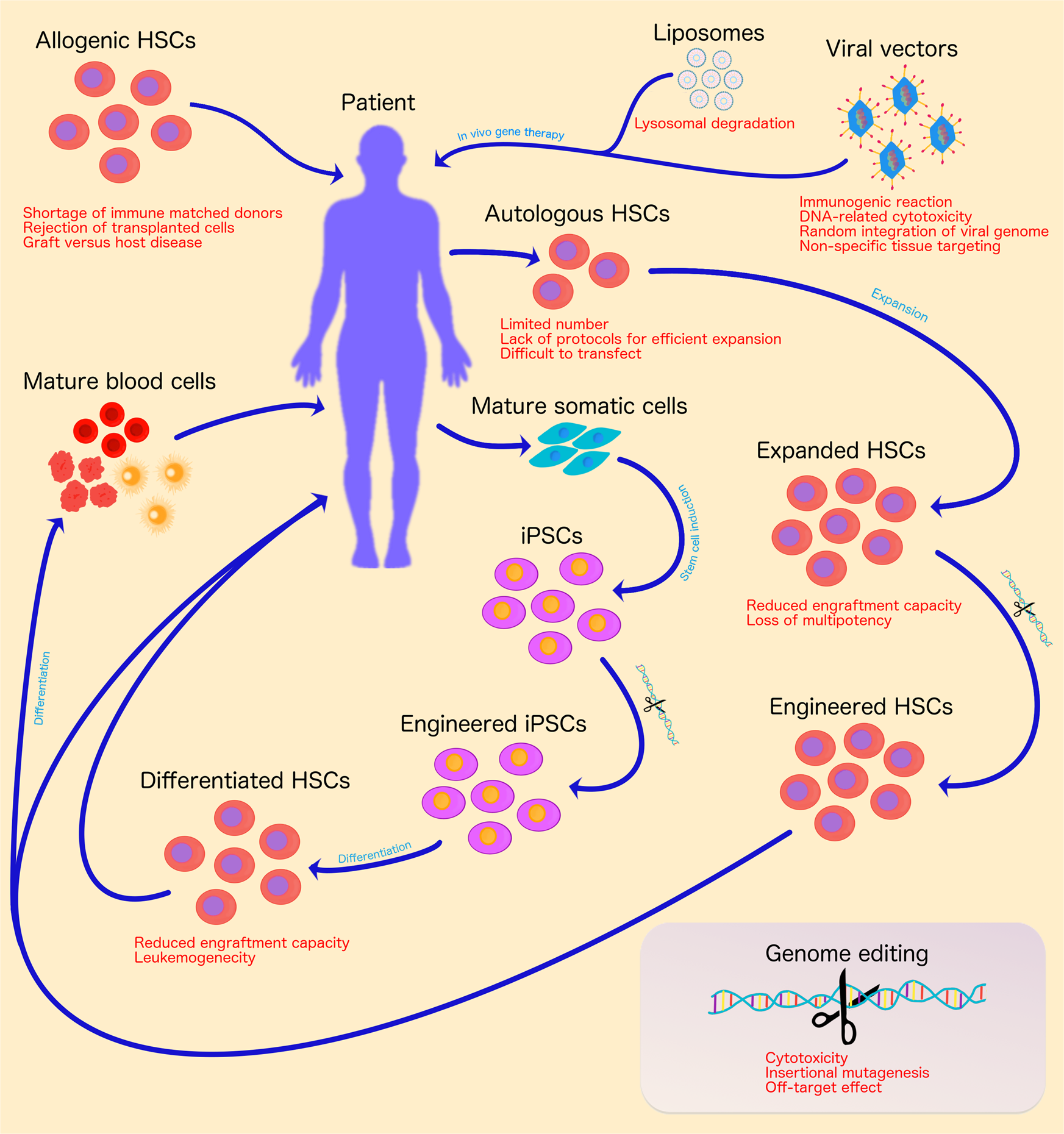 Gene therapy of hematological disorders: current challenges | Gene Therapy