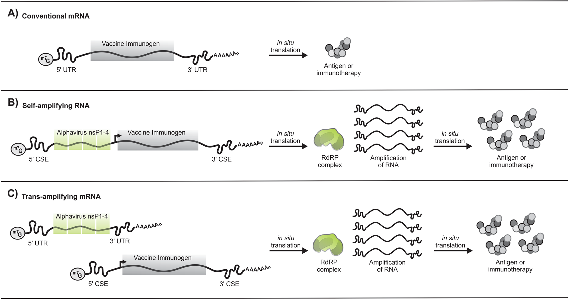 Self-amplifying RNA vaccines for infectious diseases | Gene Therapy Self-Amplifying Rna Vaccines For Infectious Diseases | Gene Therapy