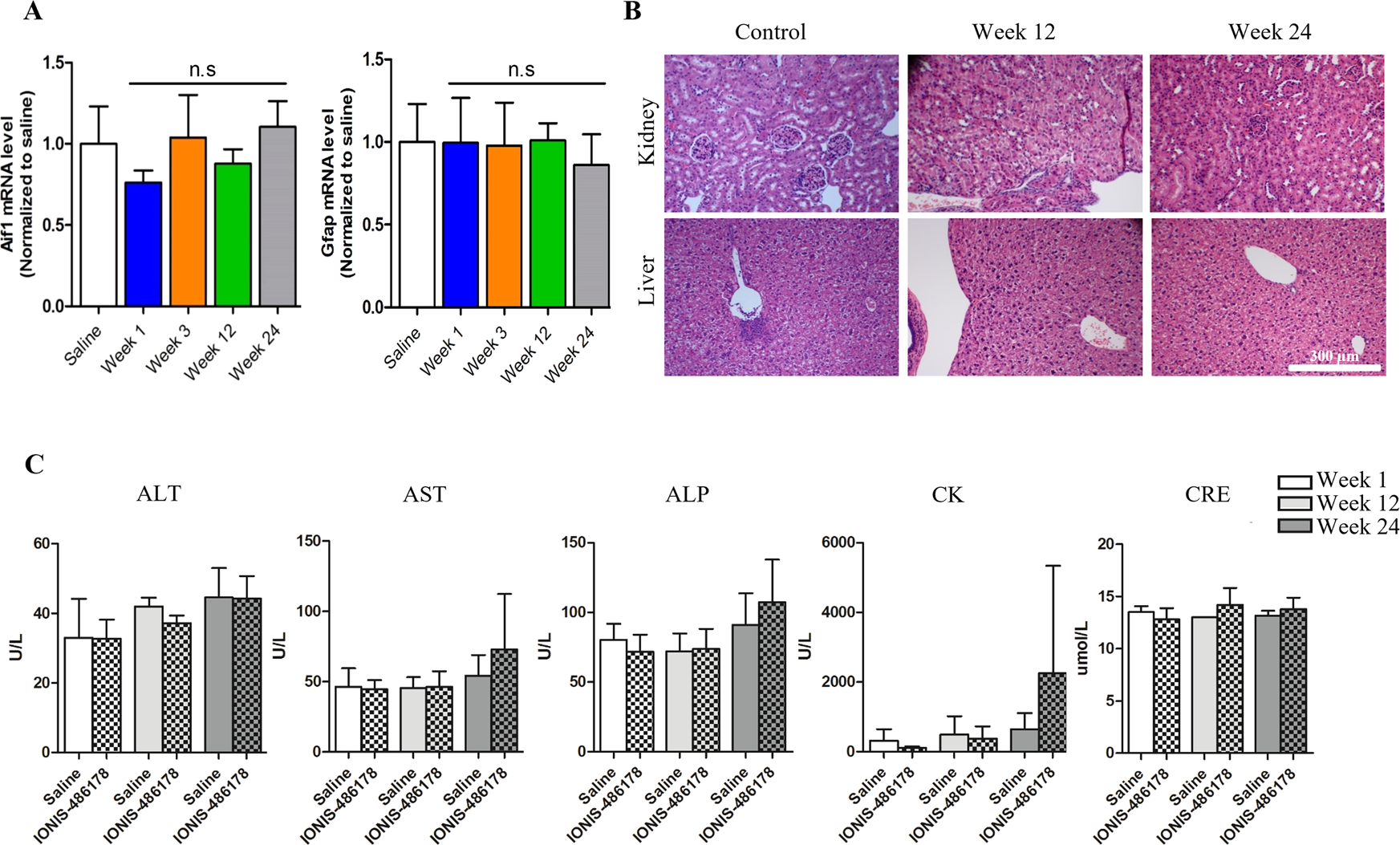 Fig. 5: IONIS 486178 ASO toxicity profile in DMSXL mouse.
