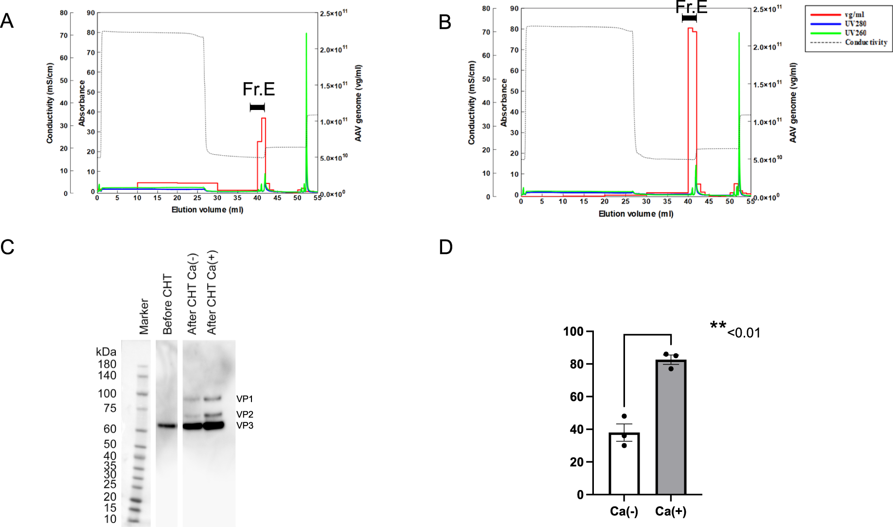 Fig. 6: Polish of full-genome AAV vectors with a hydroxyapatite column.