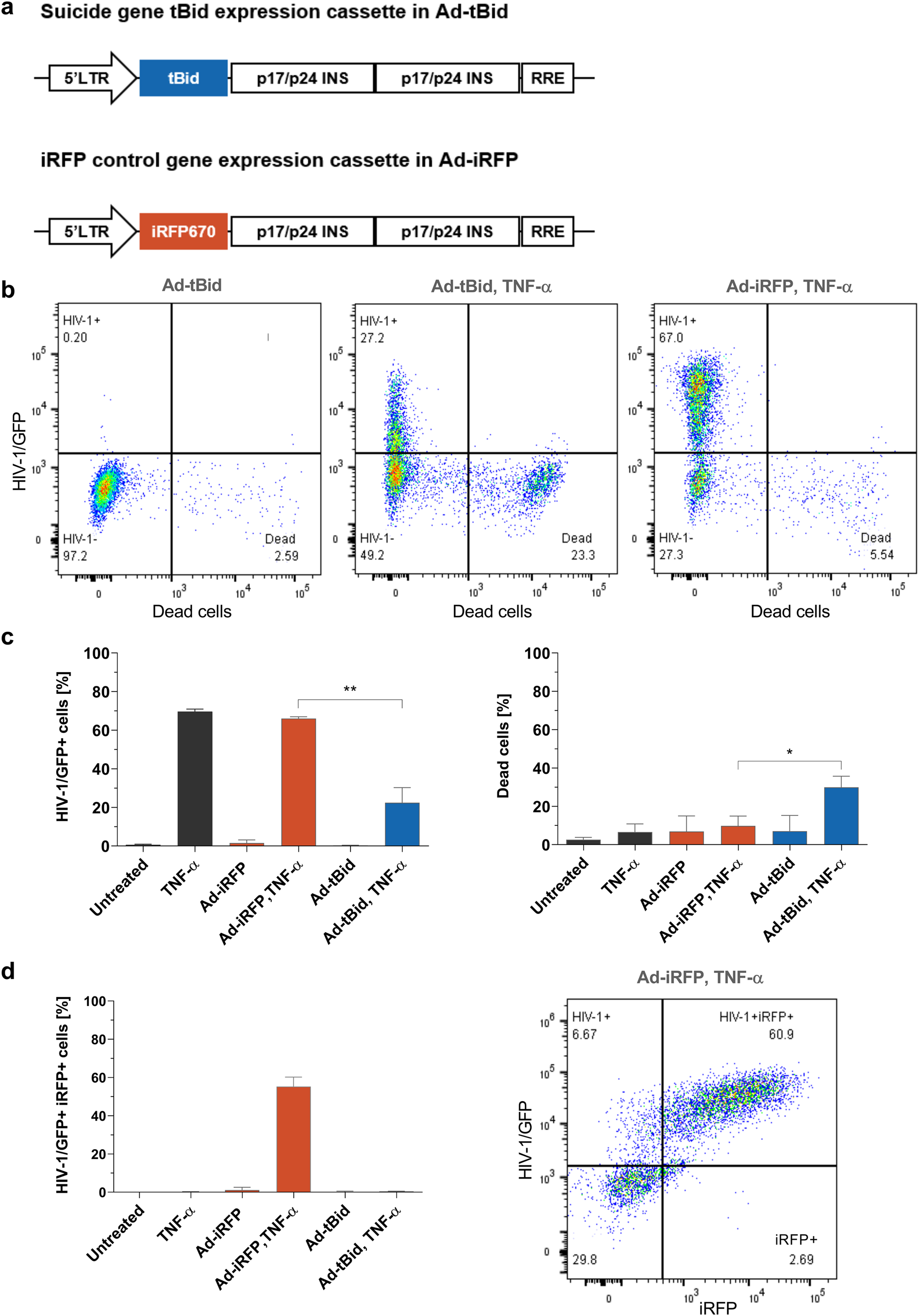 Fig. 3: Specific rapid killing of reactivated HIV-1 infected cells by tBid delivered by CD3-retargeted adenoviruses.