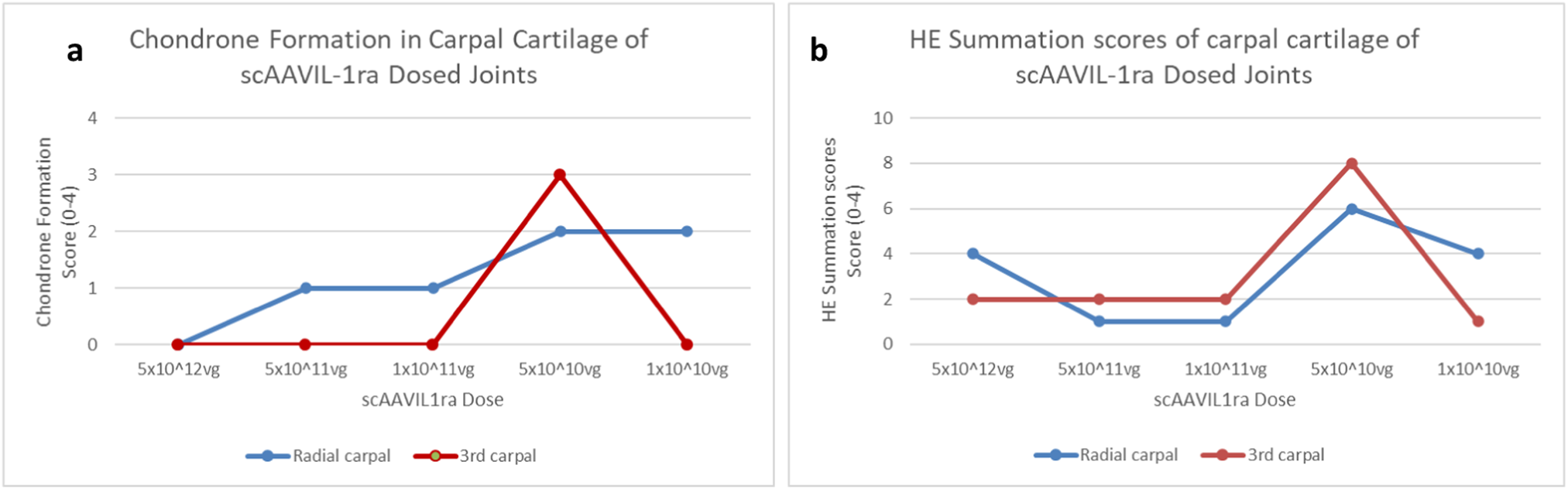 Fig. 6: Effects of scAAVIL-1ra viral gene transfer on the cartilage.