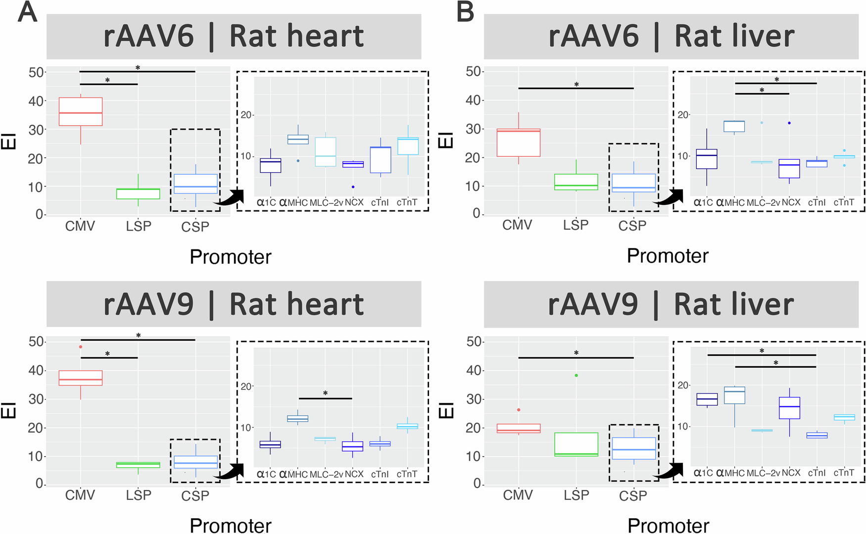 Fig. 3: Competitive transduction assay to compare efficiency of barcoded rAAV promoters in rats.