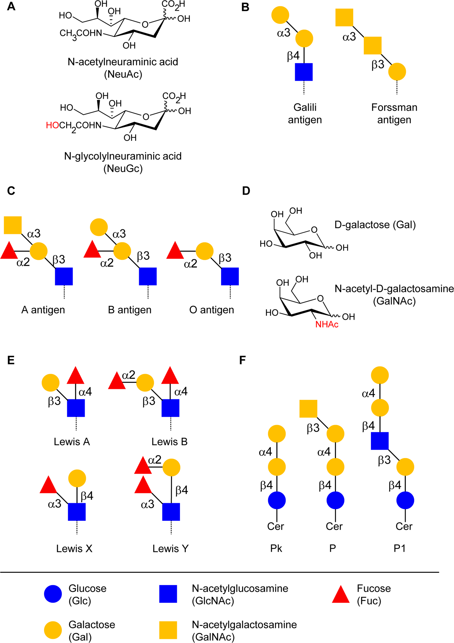 Involvement of sulfate groups in the immune cross-reactivity between