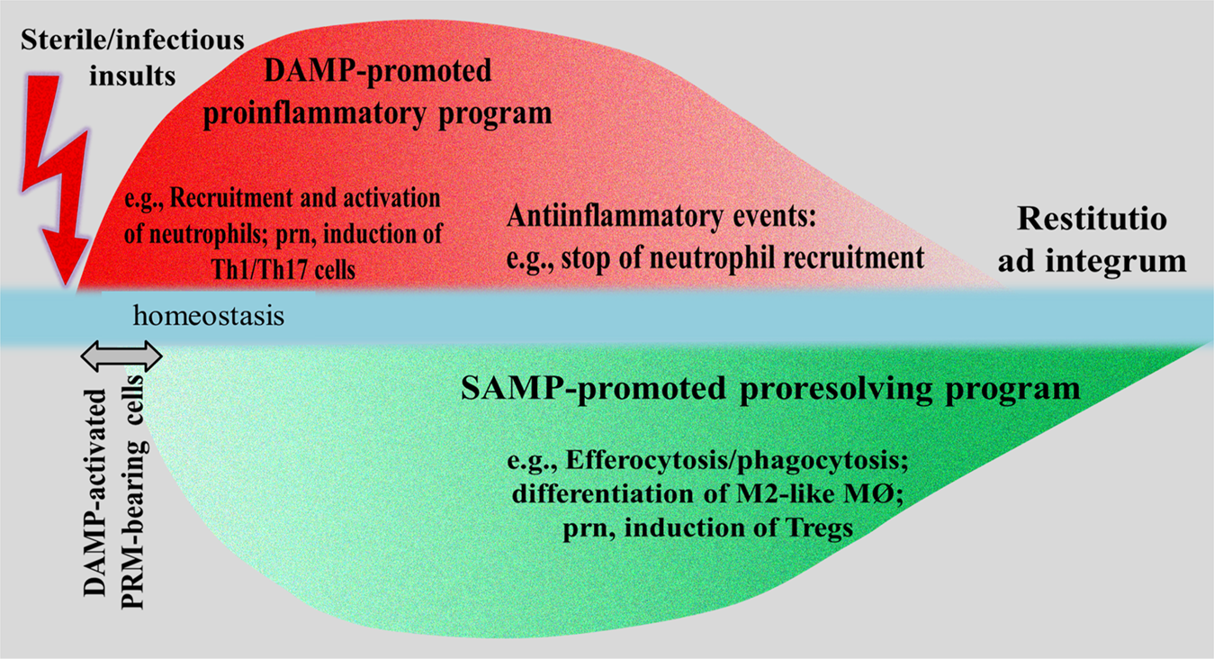 Role of DAMPs in respiratory virus-induced acute respiratory distress  syndrome—with a preliminary reference to SARS-CoV-2 pneumonia | Genes &  Immunity