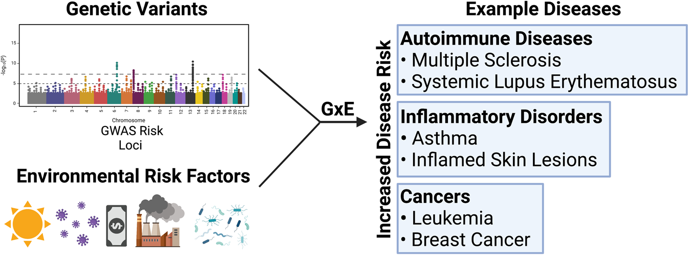 A somatization comorbidity phenotype impacts response to therapy