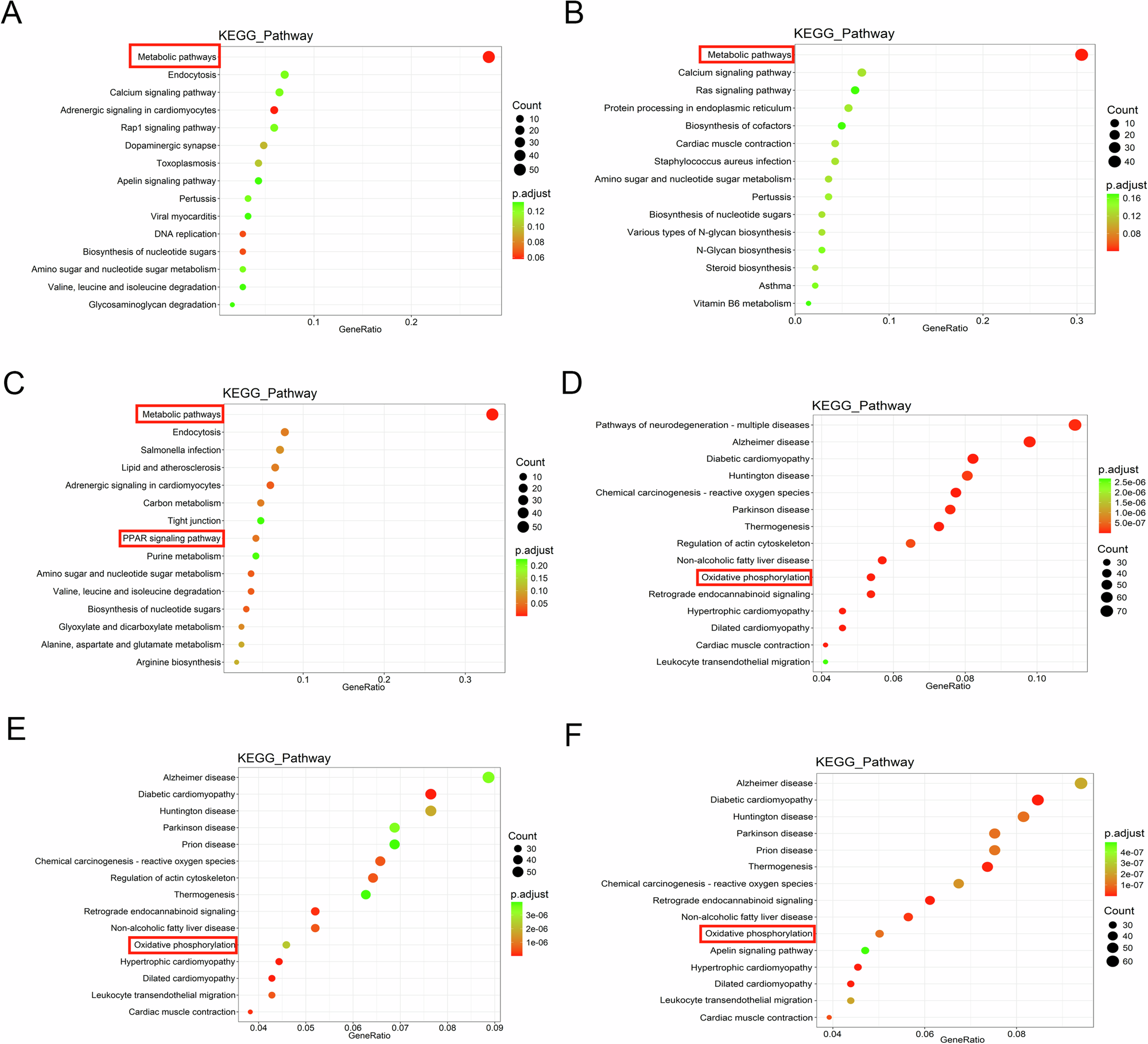 Fig. 6: Proteomic pathway analysis in Calca-/- and D-gal models.