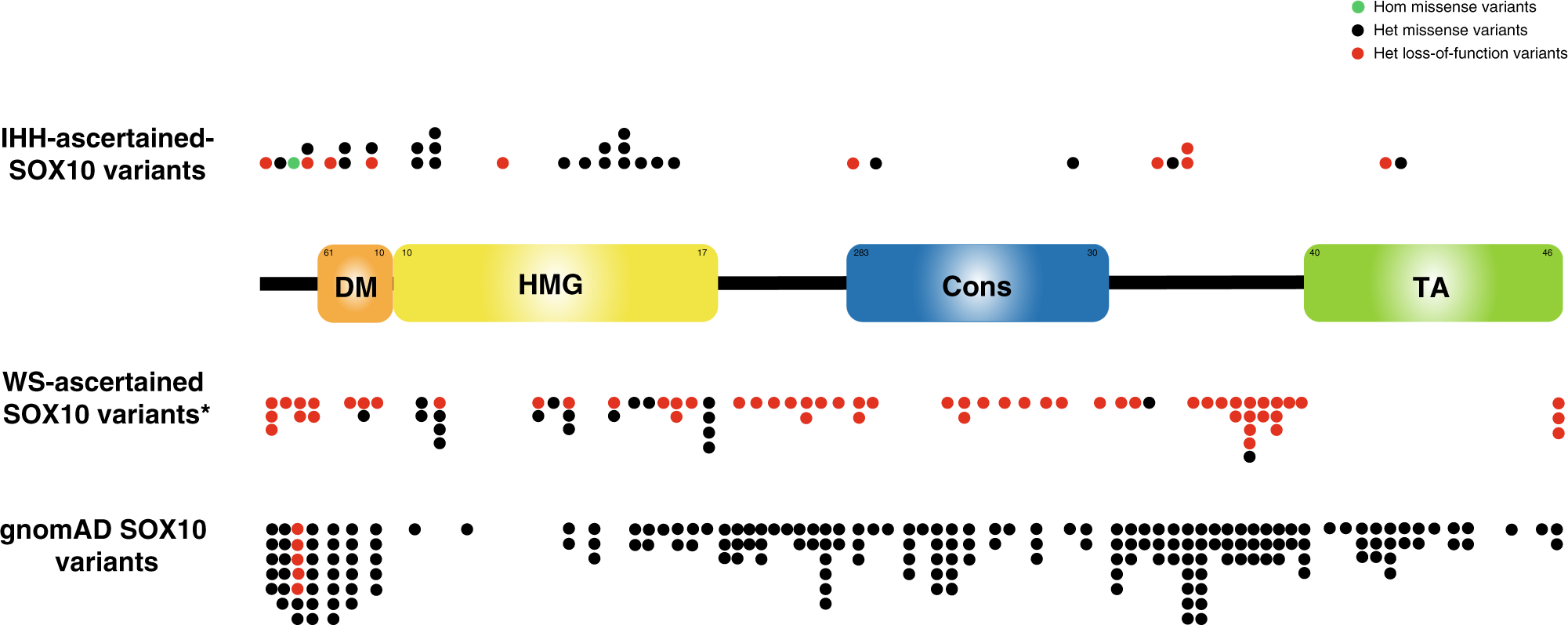 Fig. 2: SOX10 protein domains and positions of SOX10 rare sequence variants (RSVs) identified in idiopathic hypogonadotropic hypogonadism (IHH), Waardenburg syndrome (WS), and gnomAD.