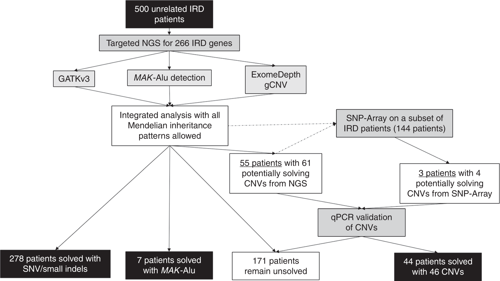 Copy-number variation contributes 9% of pathogenicity in the inherited  retinal degenerations | Genetics in Medicine