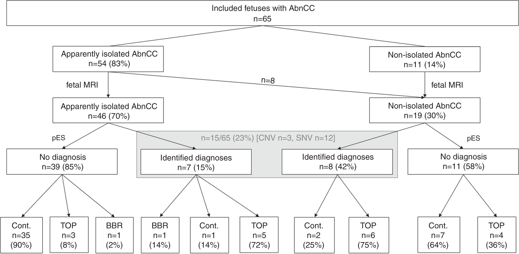 Fig. 1: Flowchart of included fetuses.