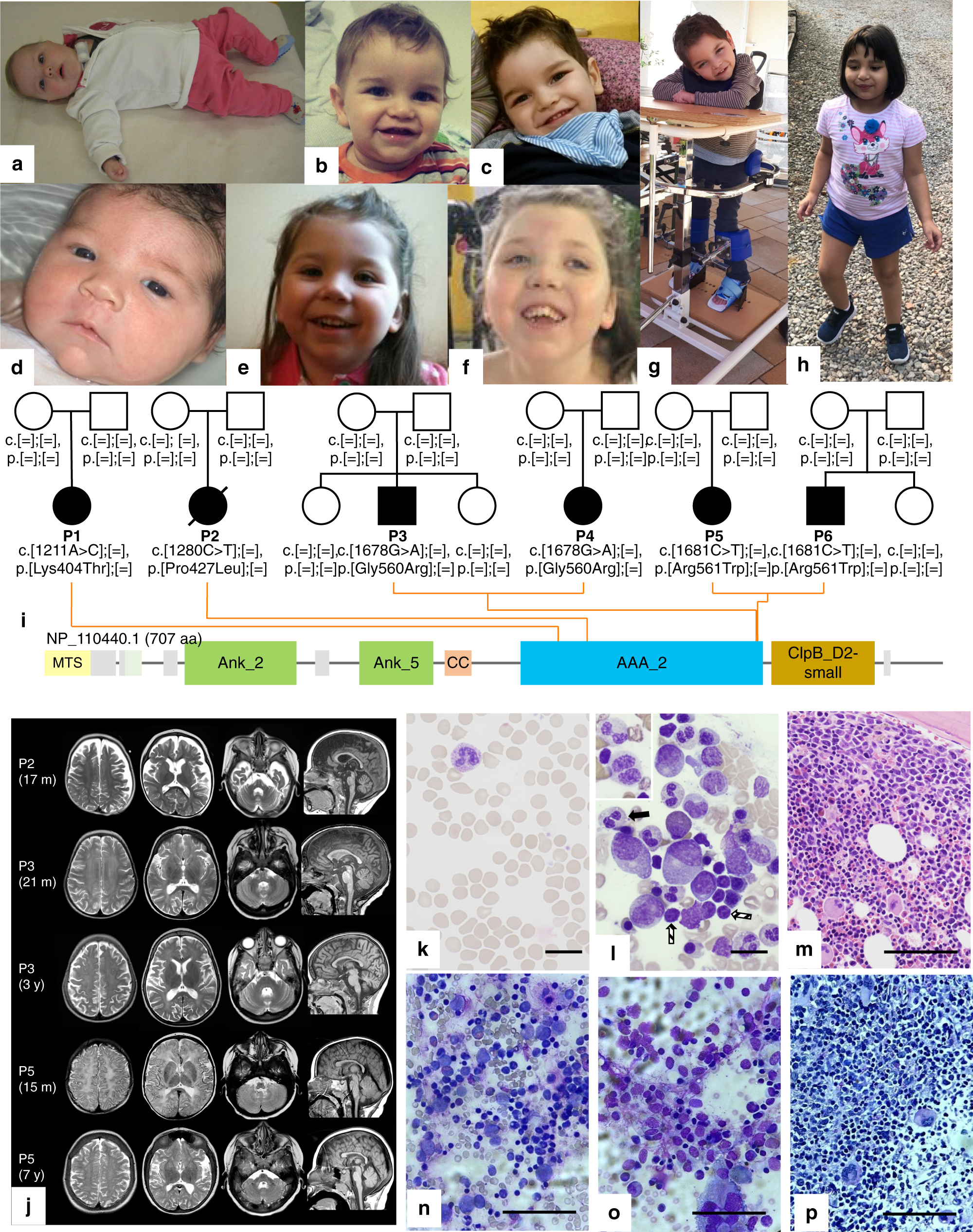 NIW Approval, 3 months, 27 days, Immunology and Molecular