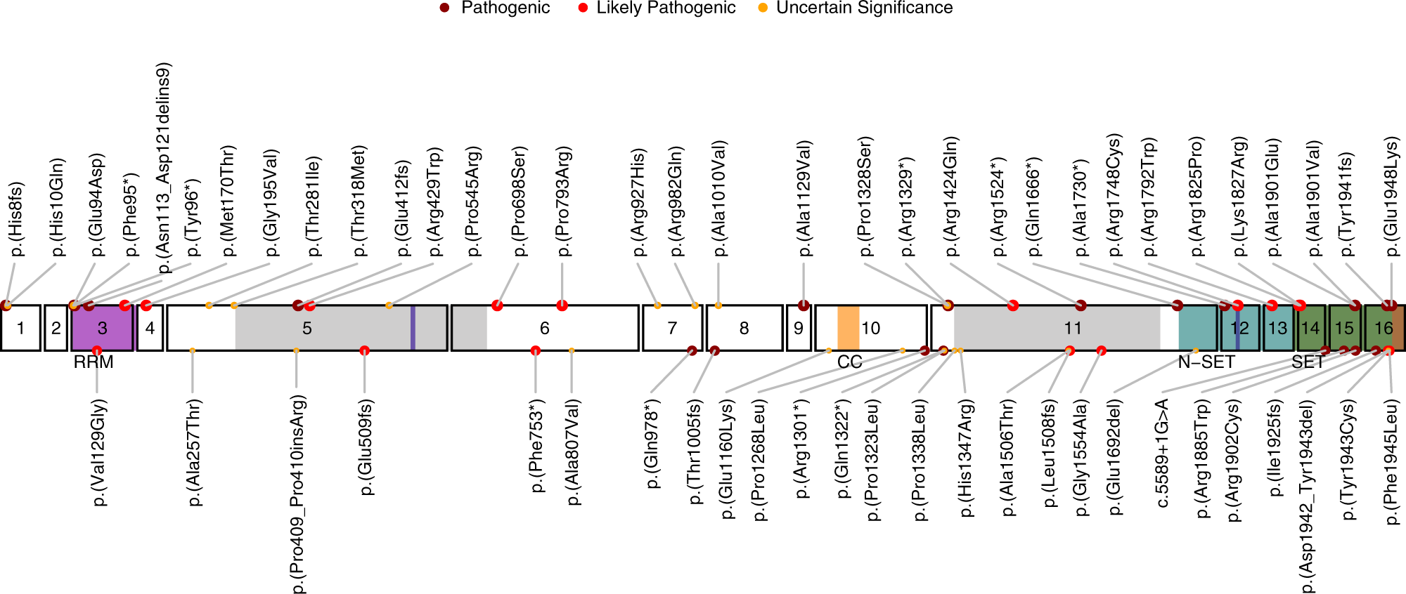 Expanding the phenotype associated to KMT2A variants: overlapping