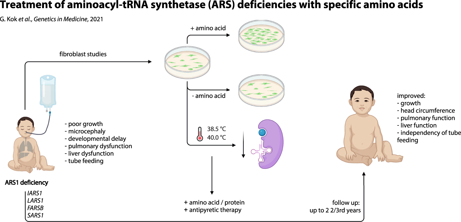 Treatment of ARS deficiencies with specific amino acids | Genetics in  Medicine