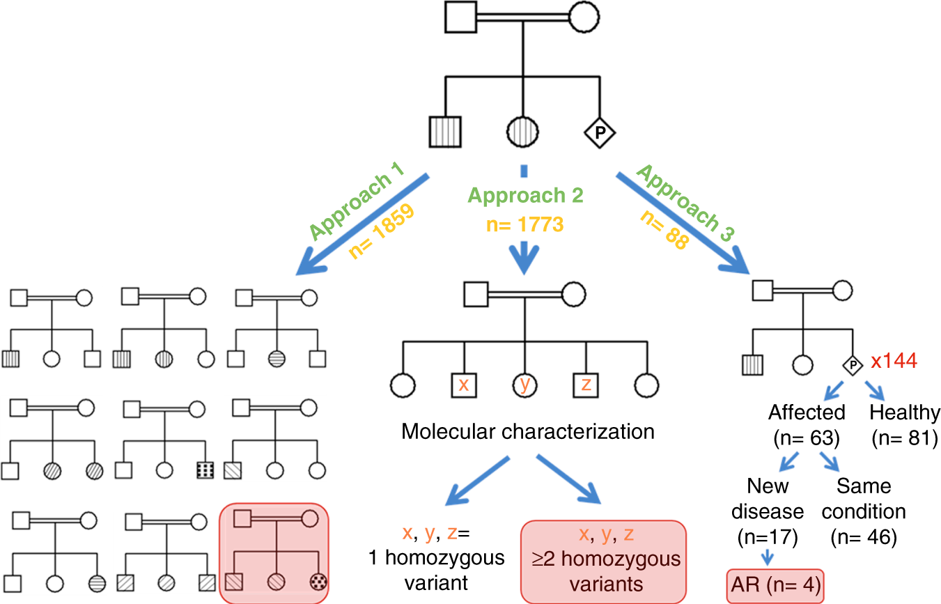 In Autosomal Dominant Inheritance Aspx Article Id
