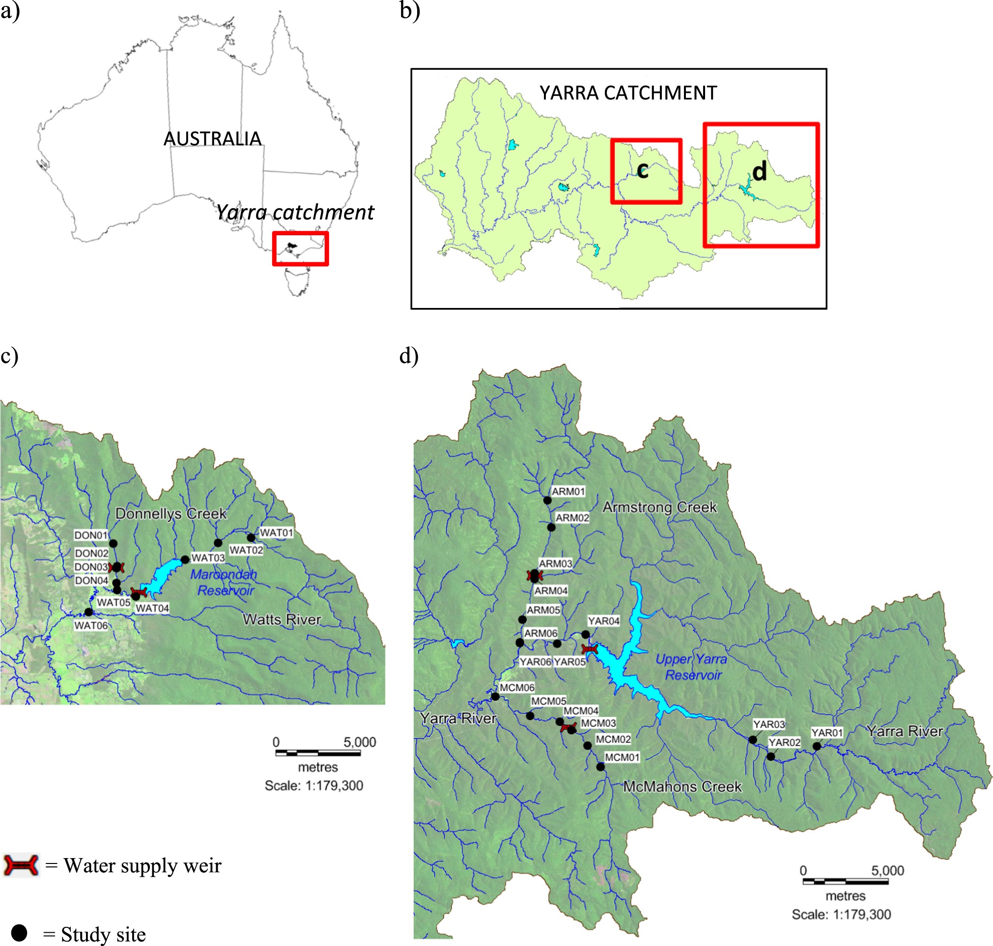 Artificial Barriers Prevent Genetic Recovery Of Small Isolated - 