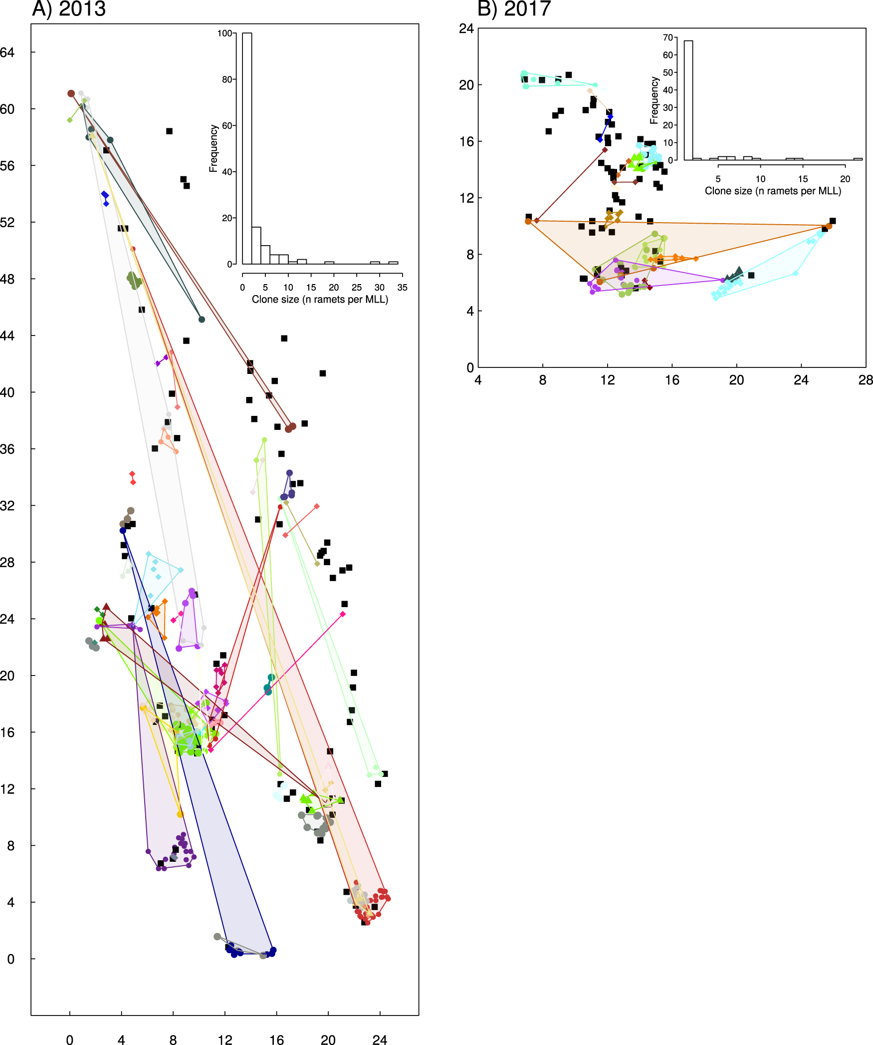 Fig. 1: Maps of the distributions of genets in each year of sampling.