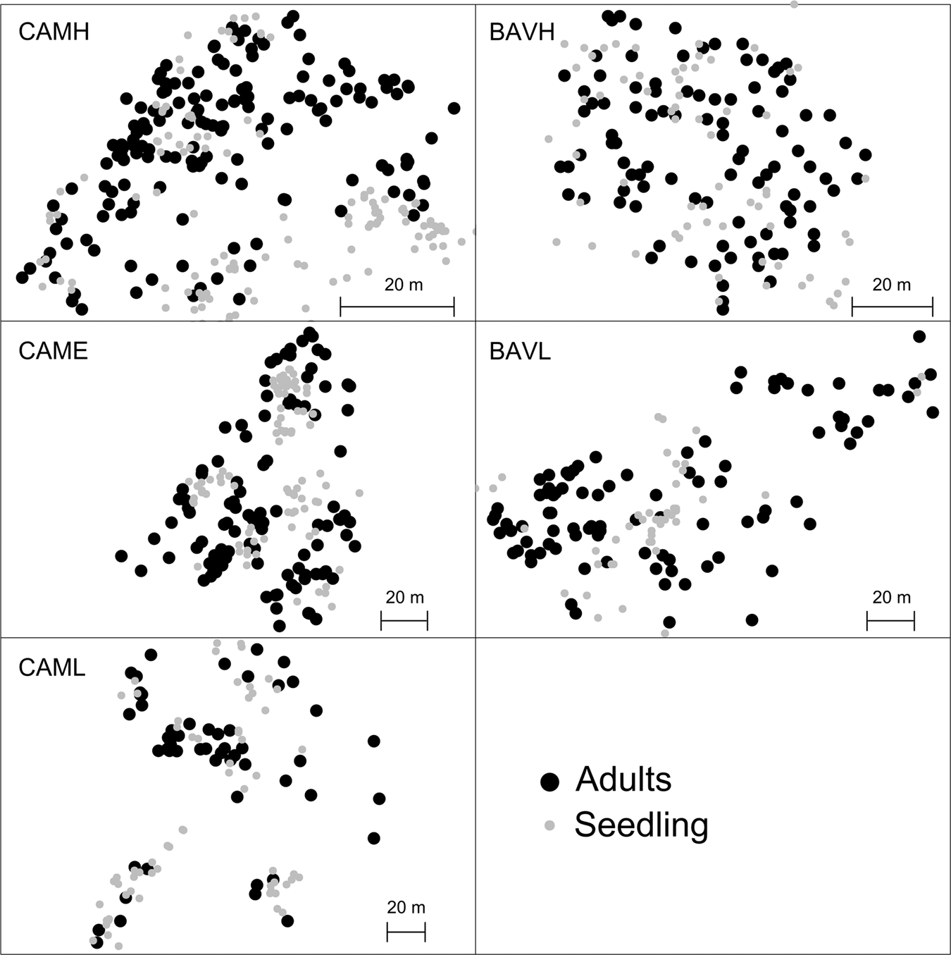 Individual Reproductive Success In Norway Spruce Natural Populations Depends On Growth Rate Age And Sensitivity To Temperature Heredity