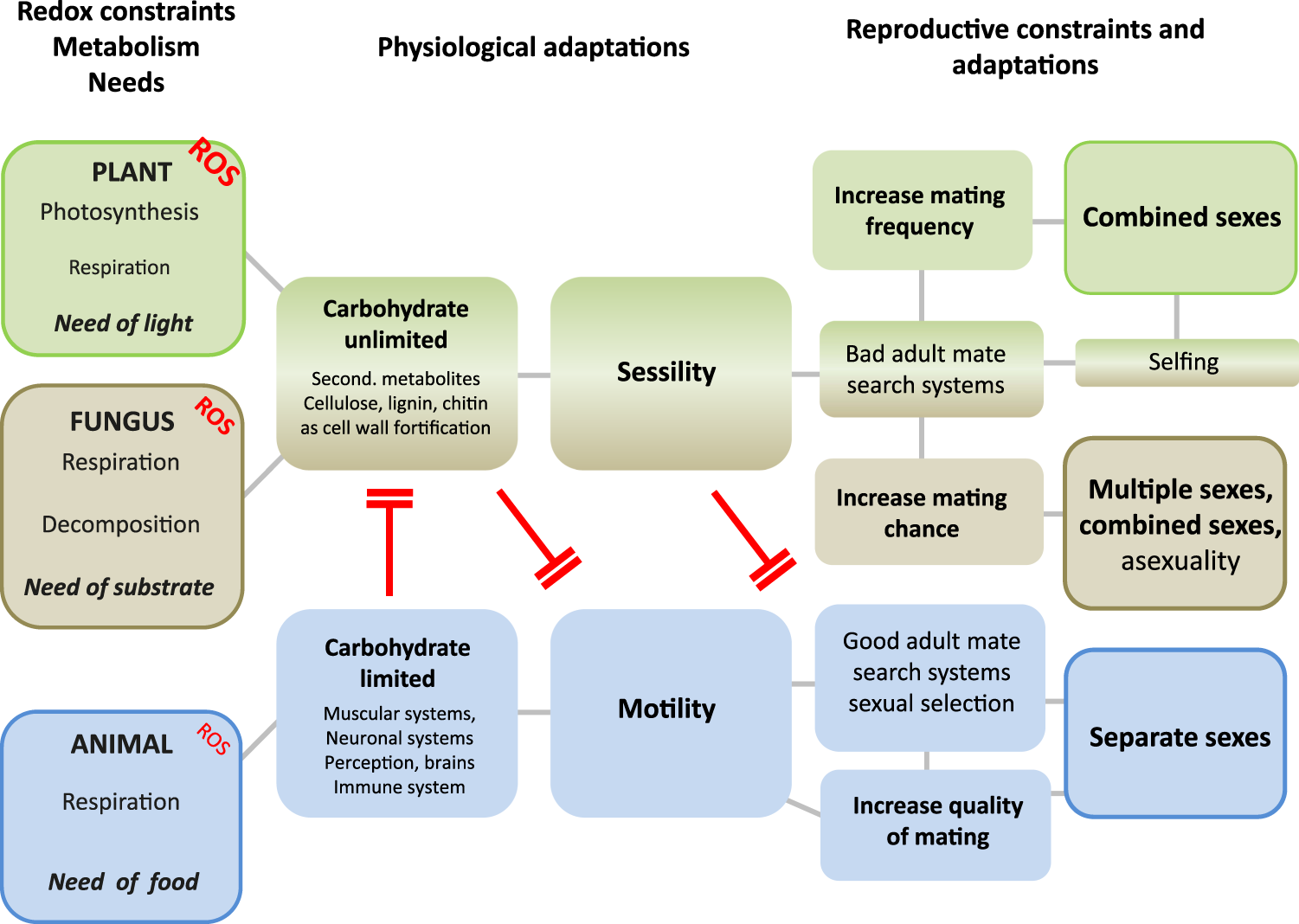 Oxygen, life forms, and the evolution of sexes in multicellular eukaryotes  | Heredity