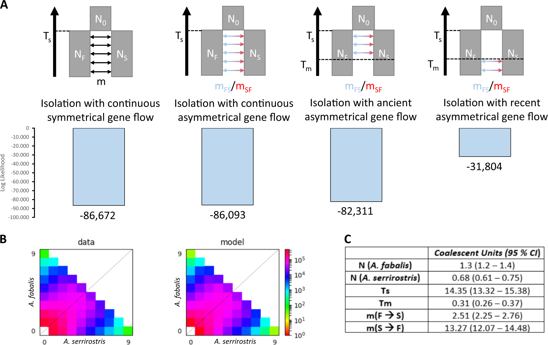 Fig. 4: Demographic analyses point to recent asymmetrical gene flow.