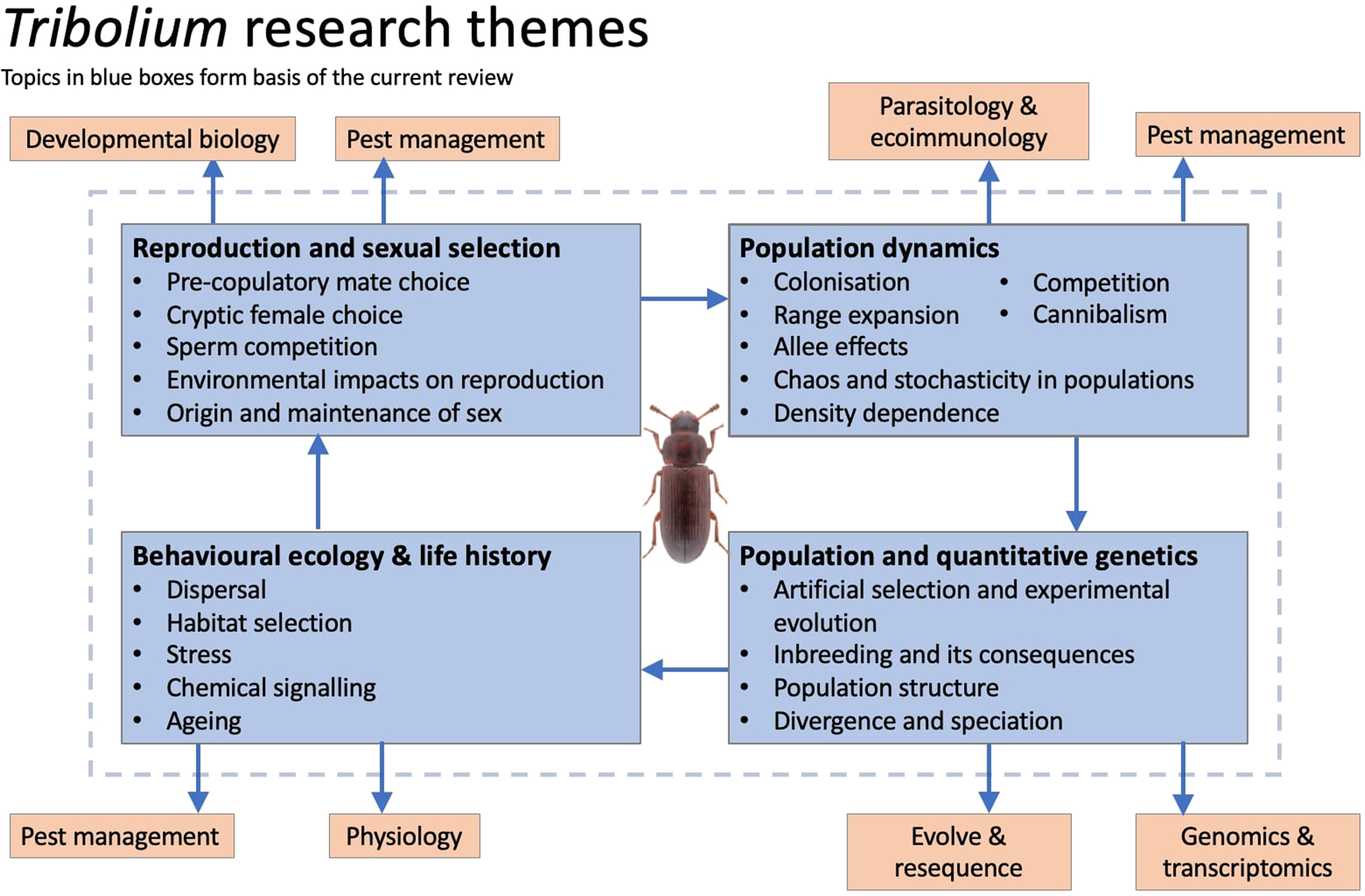 Parasitological transitions: selected outcomes from the XXXII