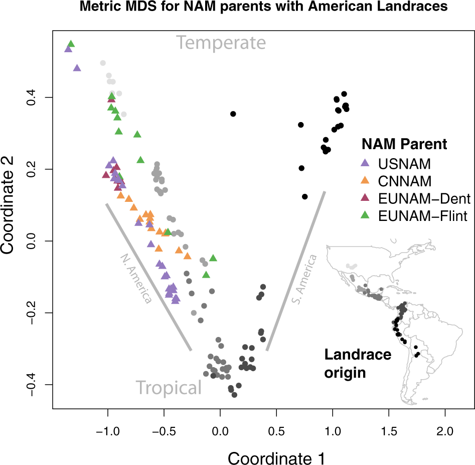 Fig. 2: MDS of GBS genotypes of American landraces from Takuno et al. (Takuno et al. 2015), replicated 10X each to drive the first two coordinates, and NAM population parents.