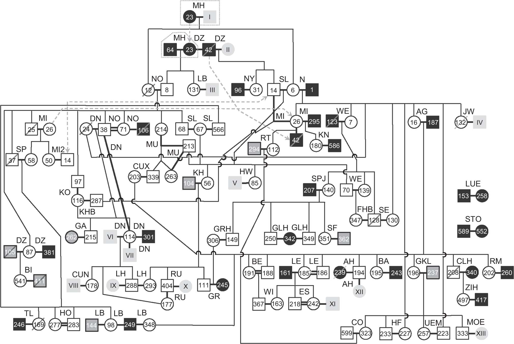 Fig. 2: Pedigree of reproducing German wolves in the monitoring period 2005–2015 reconstructed from a combination of microsatellite, mtDNA and field data.