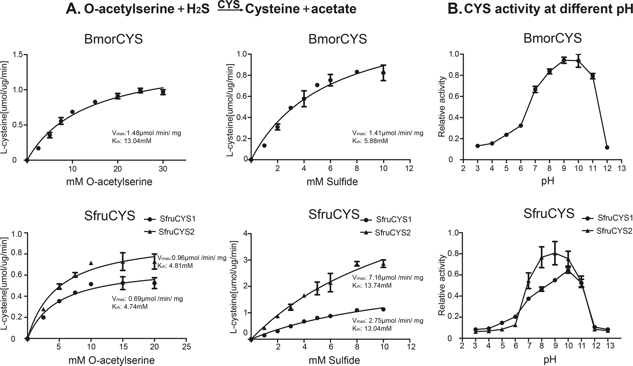 Fig. 7: The CYS activity analysis of BmorCYS/SfruCYS1/SfruCYS2.