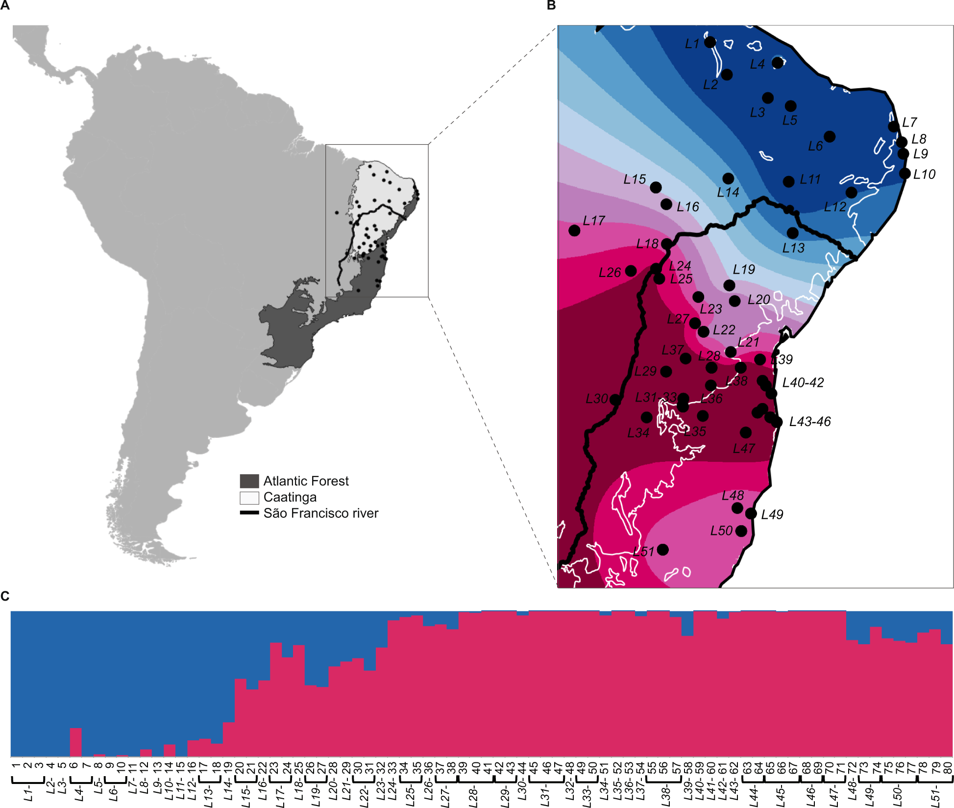 Fig. 1: Sampling and genetic structure in Rhinella granulosa based in SNP data.