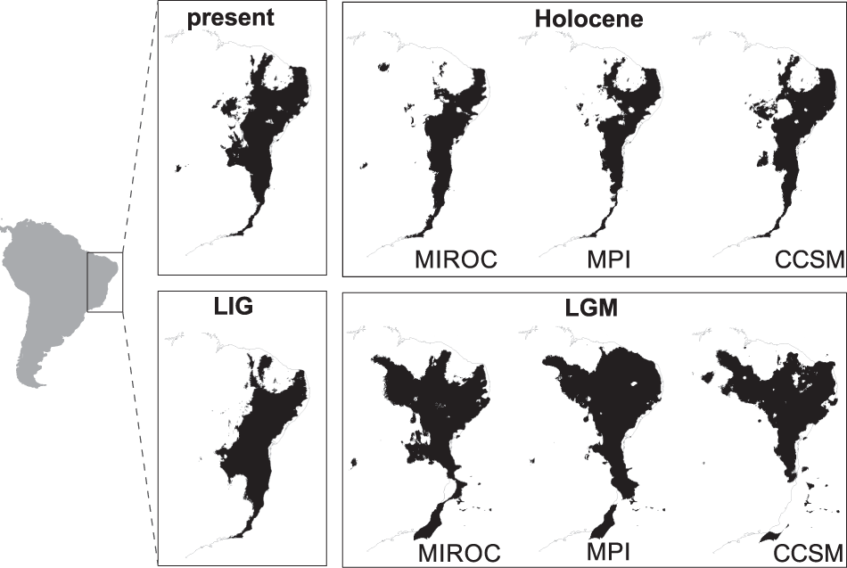 Fig. 3: Ecological niche models projected to the present, Holocene, last glacial maximum (LGM), and last interglacial maximum (LIG).