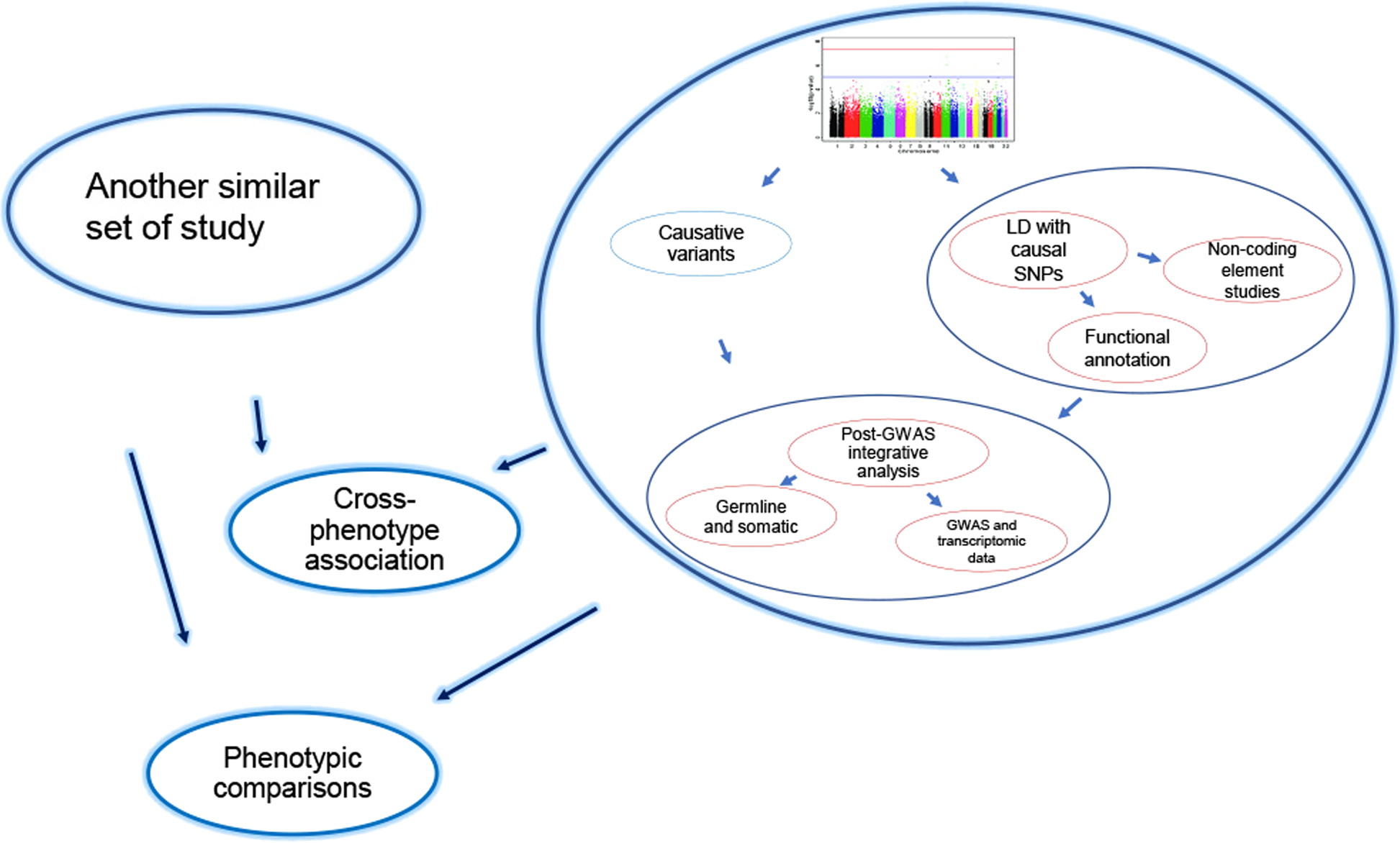Hover embargo Bekendtgørelse Recent innovations and in-depth aspects of post-genome wide association  study (Post-GWAS) to understand the genetic basis of complex phenotypes |  Heredity