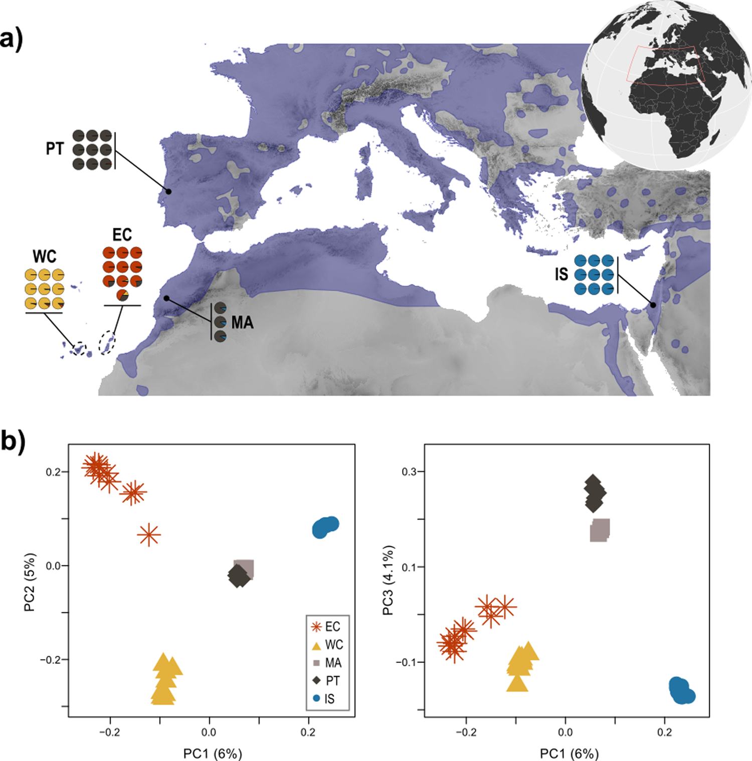 Genomic basis of insularity and ecological divergence in barn owls (Tyto  alba) of the Canary Islands | Heredity