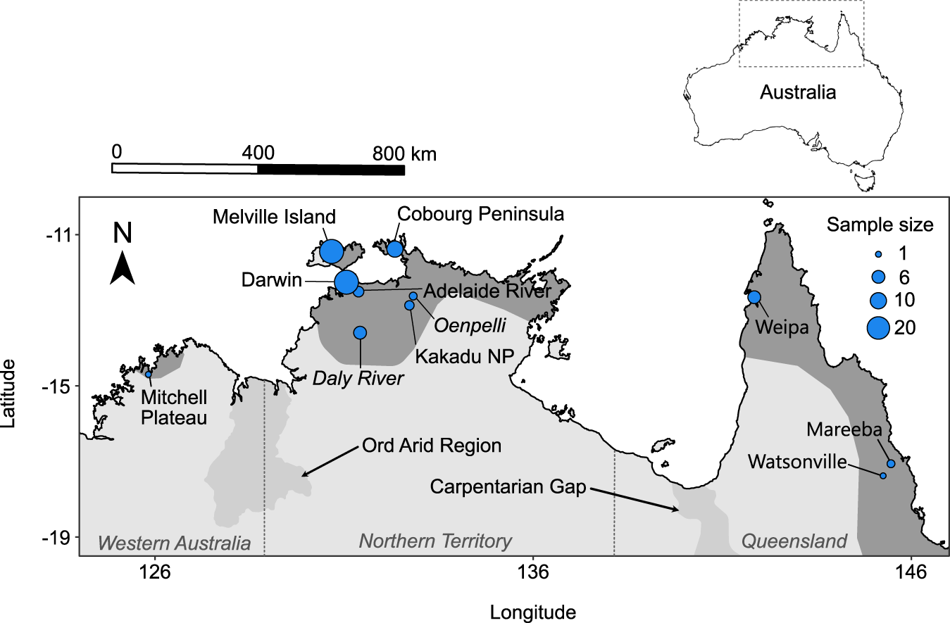 Fig. 1: The locations (blue points) of all black-footed tree-rat (Mesembriomys gouldii) tissue samples collected for population genomic analysis.
