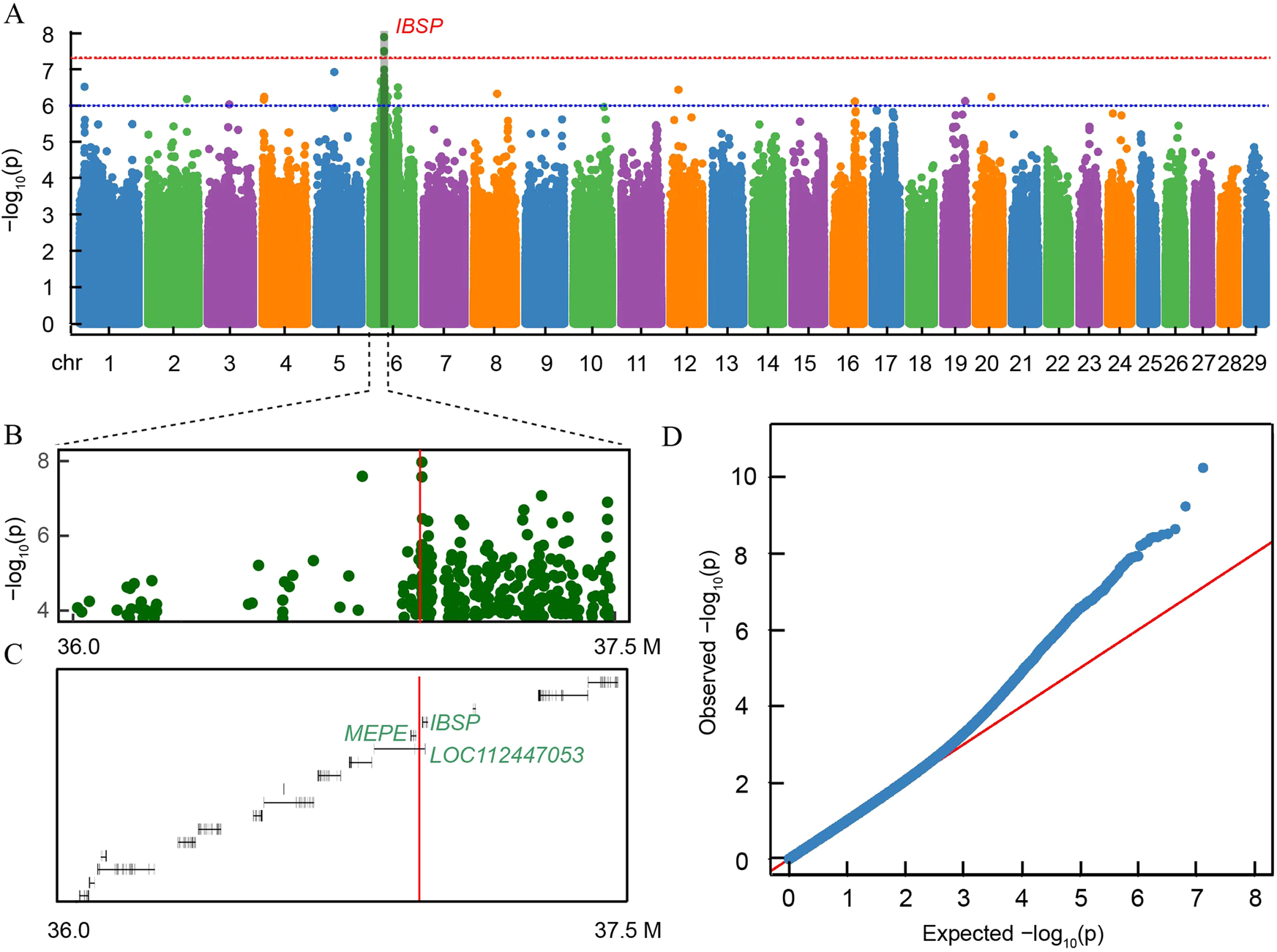 Fig. 2: Genome-wide association study of ear size.