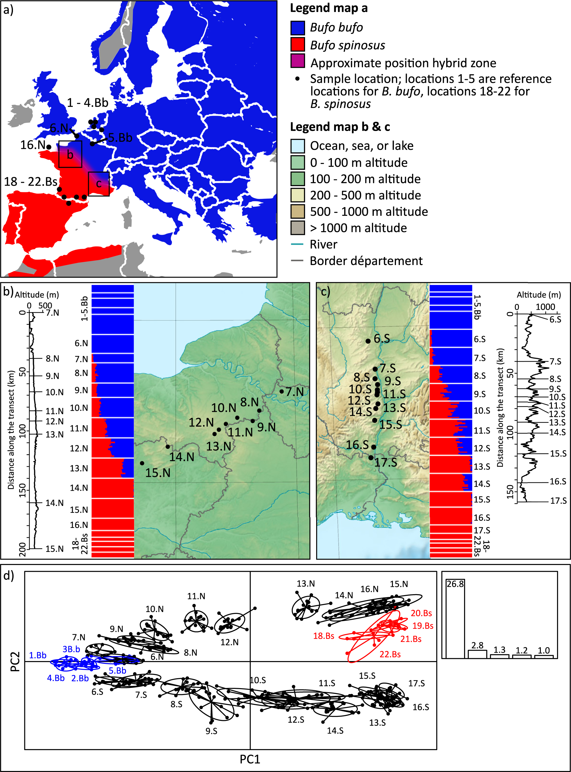 Two transects reveal remarkable variation in gene flow on opposite ends of  a European toad hybrid zone
