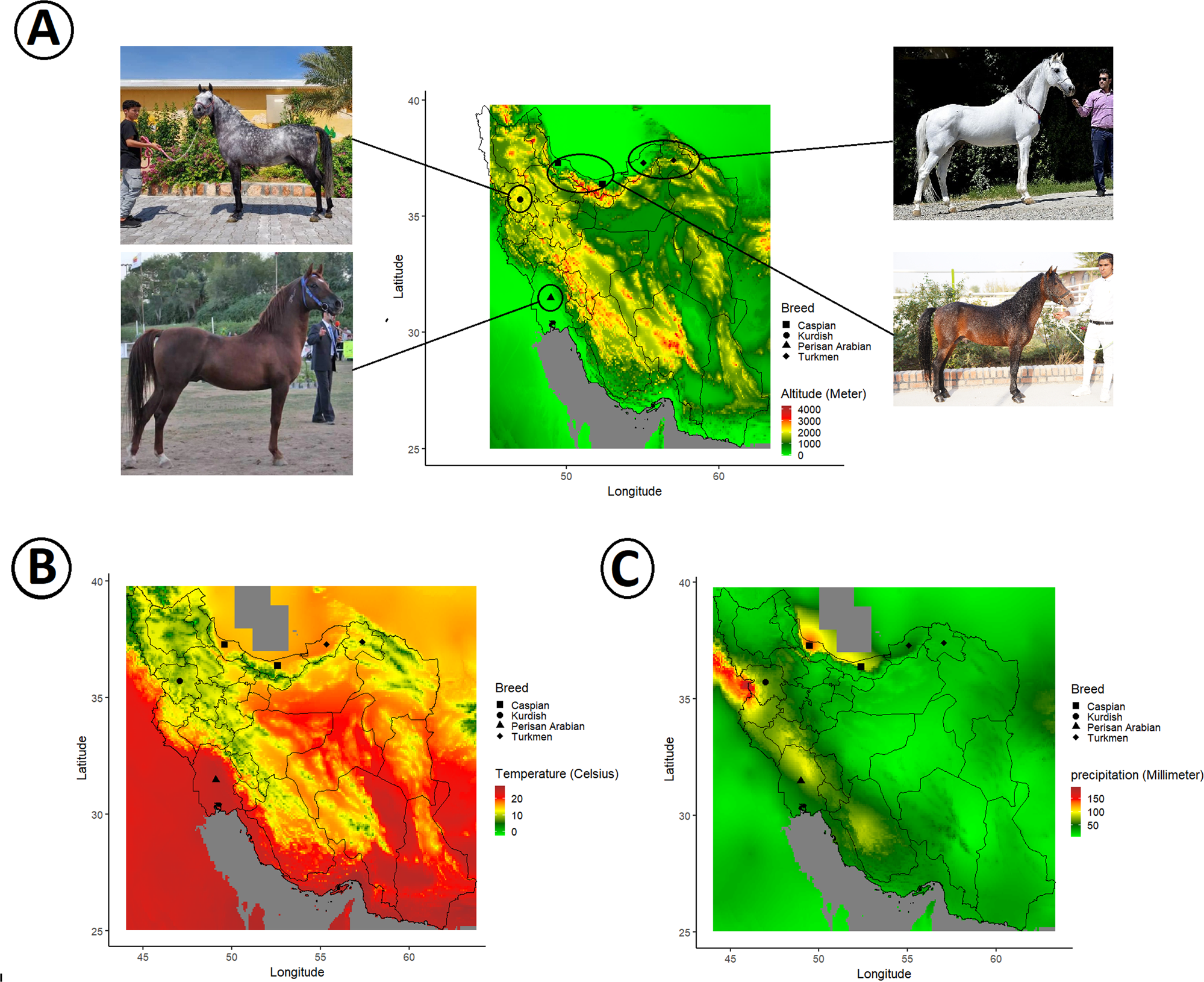 Fig. 2: Iranian horse populations and their geographical locations.