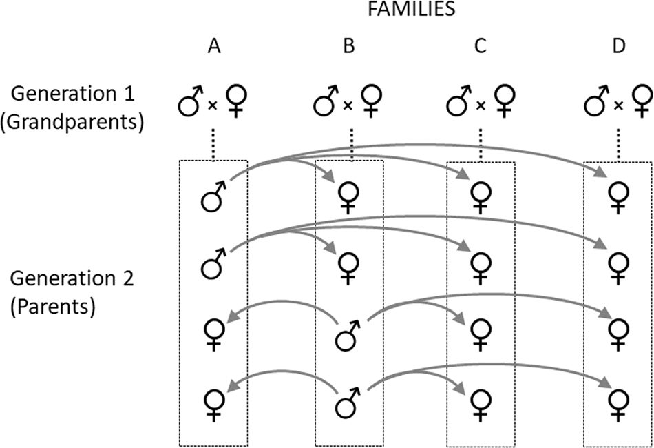 Fig. 1: Illustration of a single breeding unit within the pedigree design.