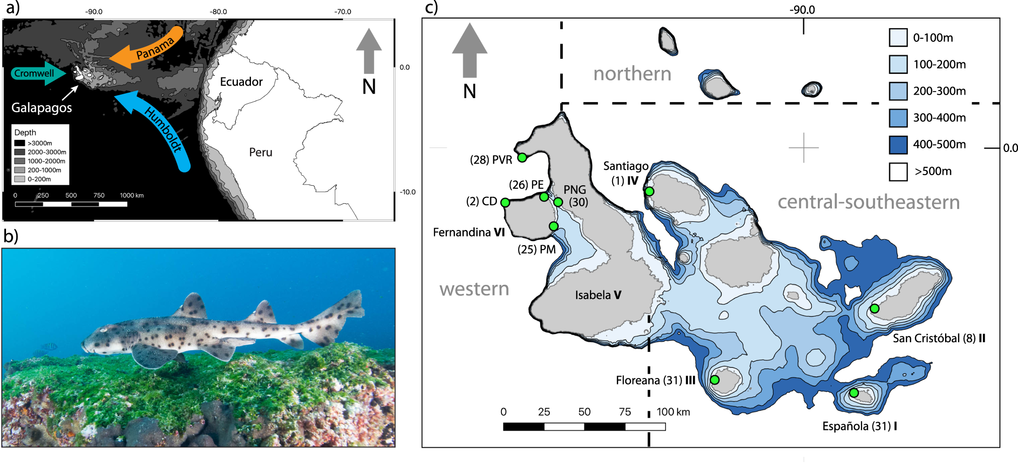 リコ-ダイナミックワイド　2本セット What Darwin could not see: island formation and historical sea