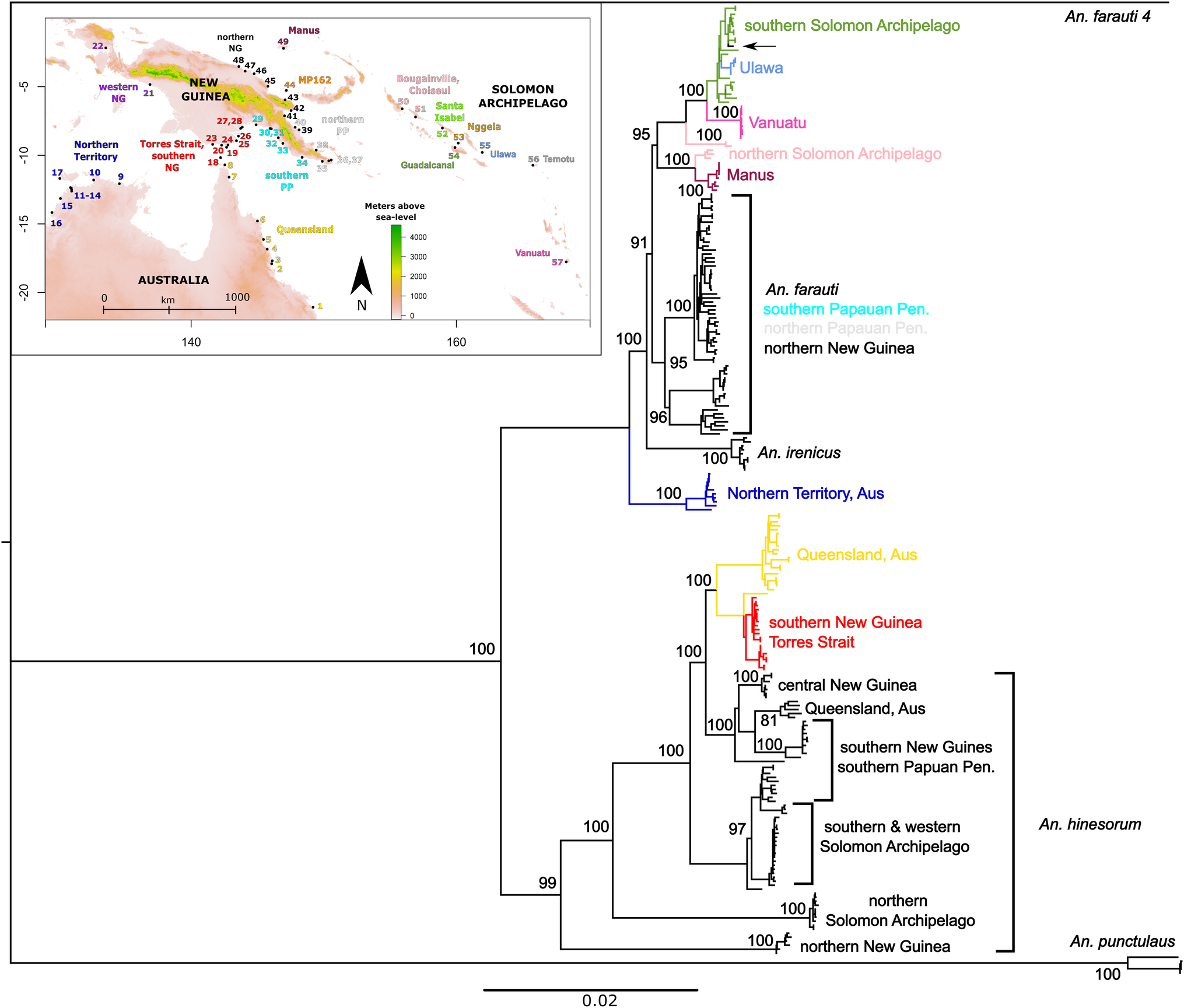 Fig. 5: Whole mitogenome phylogeny.
