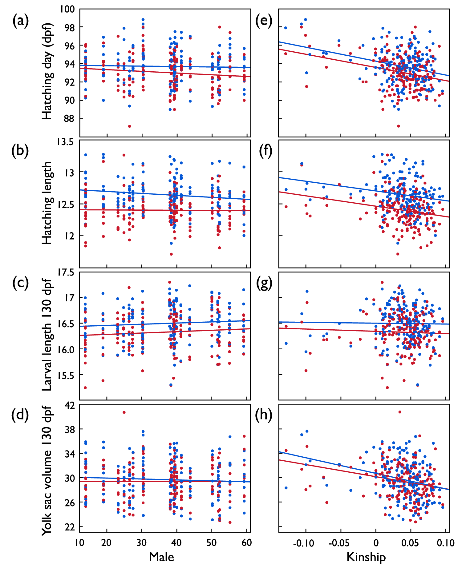 Fig. 3: Second experiment: Embryo development after exposure to Aeromonas salmonicida (red symbols and regression lines) or sham exposure (blue).